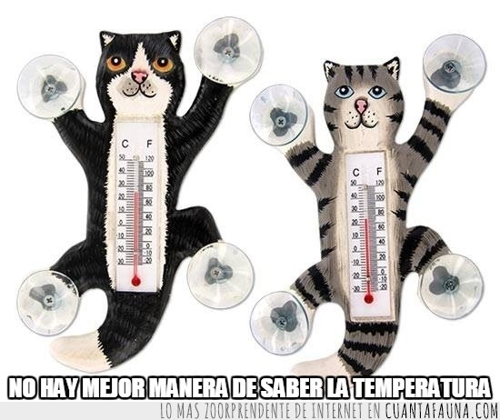 termometro,ventana,para ponerlo por fuera,en ventanas altas mejor,forma de gato